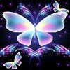 marylawrence923